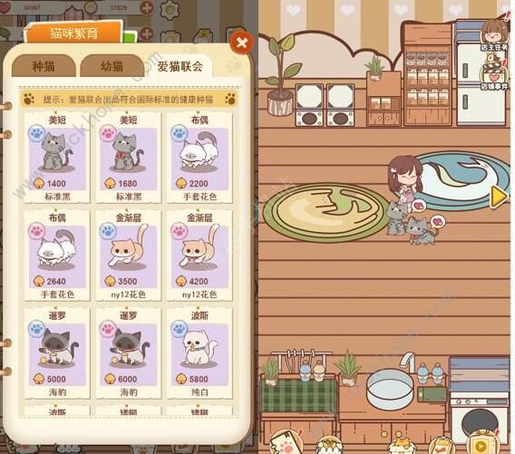 喵呜开门攻略大全4