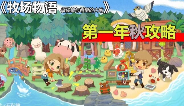 牧场物语橄榄镇第一年秋攻略大全1