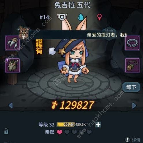 提灯与地下城平民宠物搭配大全2