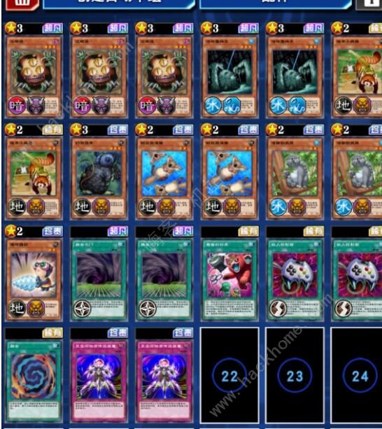 游戏王决斗链接融合树袋熊卡组推荐2