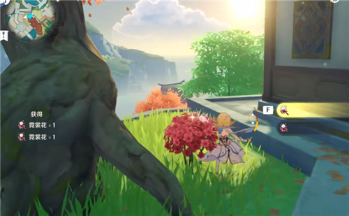 原神霓裳花在哪采集4