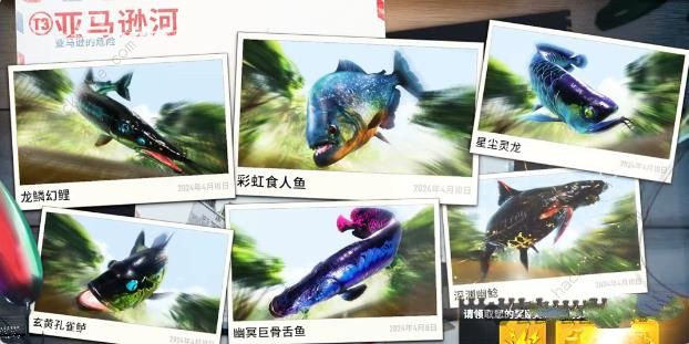 欢乐钓鱼大师四大误区2