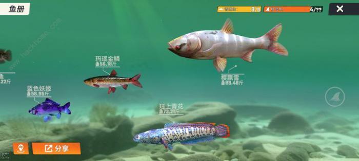 欢乐钓鱼大师藏宝图有什么用5