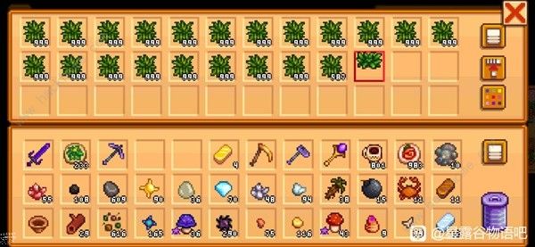 星露谷物语活的帽子怎么刷1