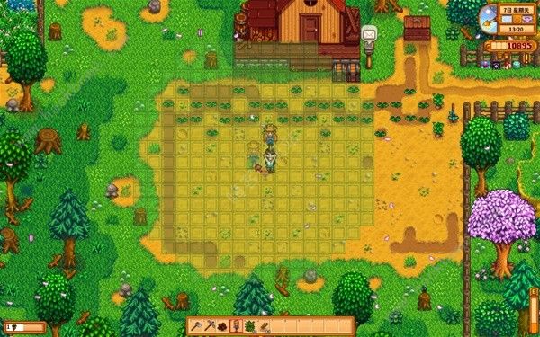 星露谷物语1.6版草原洒水器放哪里好5