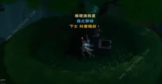 塔瑞斯世界银辉城宝箱在哪11