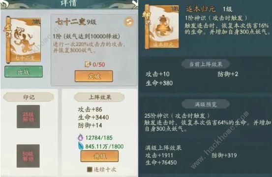 寻道大千道法连击流怎么搭配3