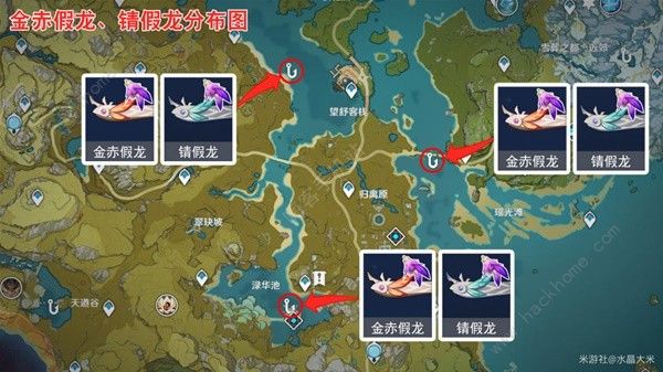 原神渔获精炼材料收集总汇6