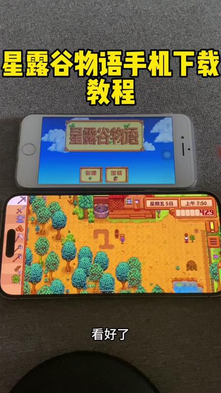 星露谷物语金币怎么刷2