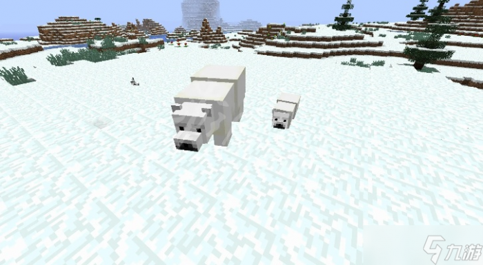 我的世界怎么喂北极熊1