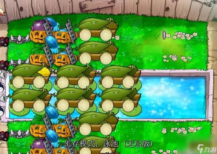 植物大战僵尸ol进化图介绍6