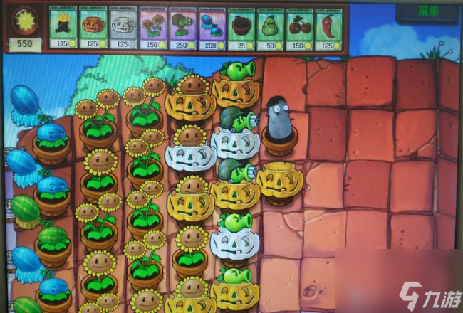 植物大战僵尸屋顶大块头和气球怎么过关2