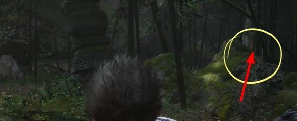 黑神话悟空落伽香藤怎么采集4