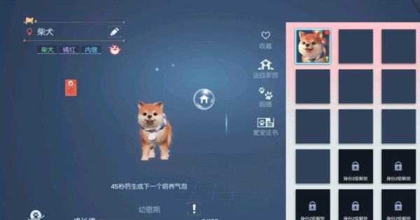 龙族幻想育宠达人是做什么的2