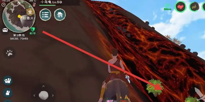 创造与魔法小猫咪怎么抓2