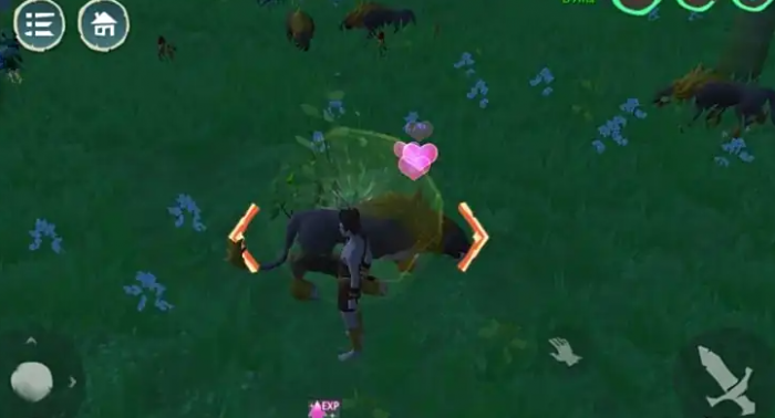 创造与魔法小猫咪怎么抓3