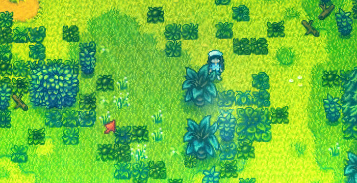 星露谷物语蕨菜在哪里获得2