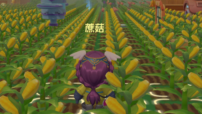 摩尔庄园怎么收获玉米2