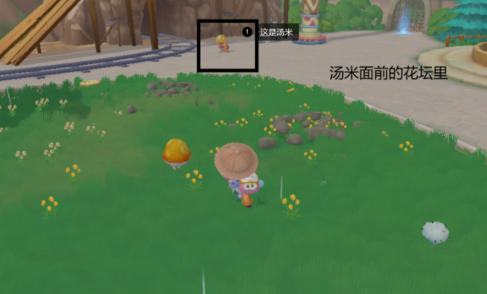 摩尔庄园下雨天怎么捡蘑菇3