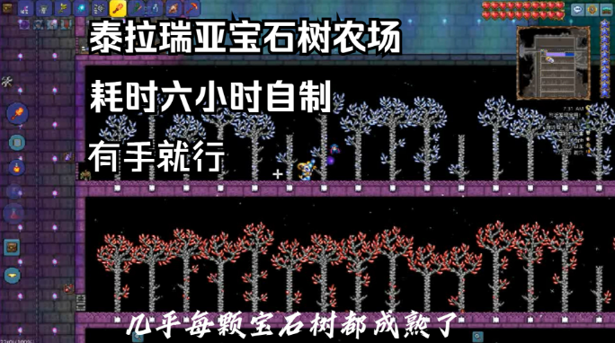 泰拉瑞亚什么方法能赚钱2