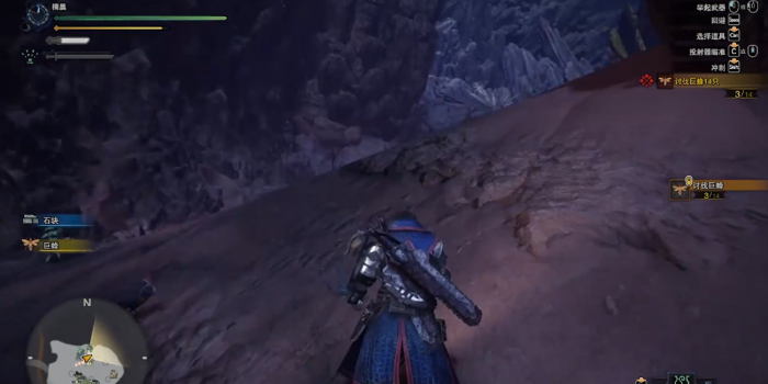 怪物猎人世界驱除荒野之虫怎么做2