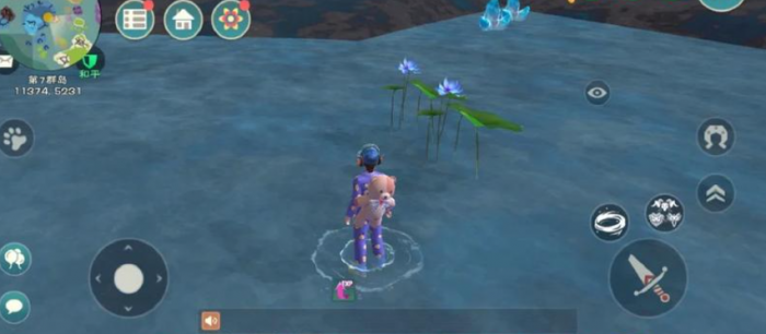 创造与魔法水晶睡莲能种植吗2