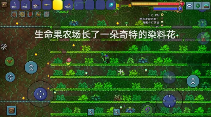 泰拉瑞亚怎么判断植物成熟2