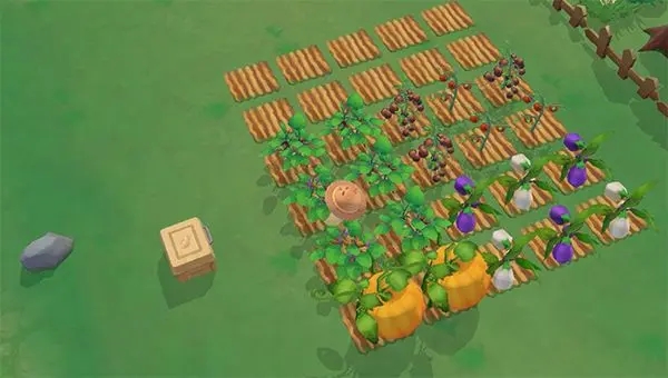 摩尔庄园里母鸡的喂养有哪些技巧2