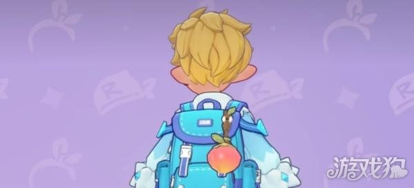 洛克王国世界可可果商店兑换什么好4