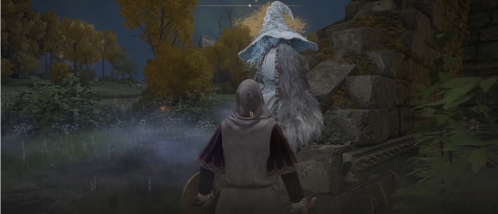 艾尔登法环新人开局该怎么玩2