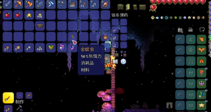 泰拉瑞亚特殊鱼怎么钓1