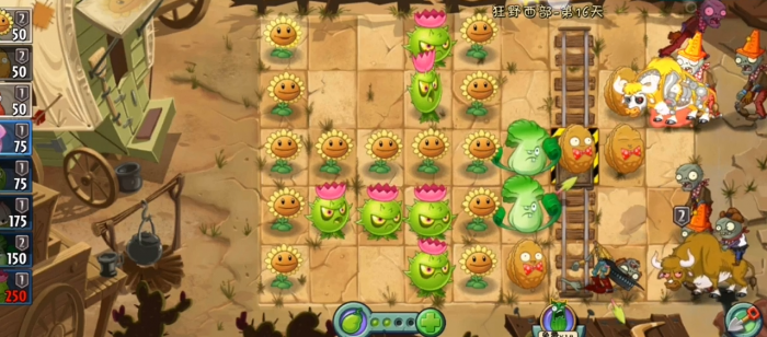 植物大战僵尸2第16关怎么过1