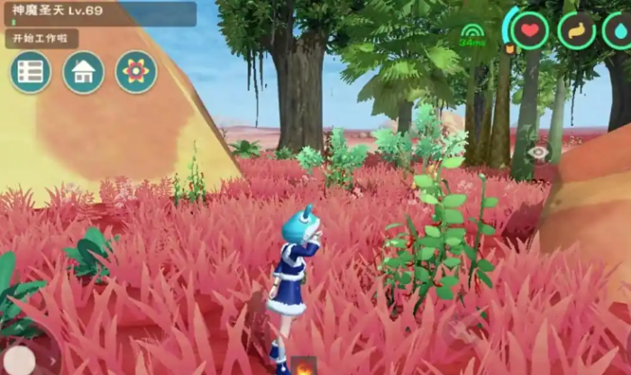 创造与魔法辣椒圈在哪里刷2