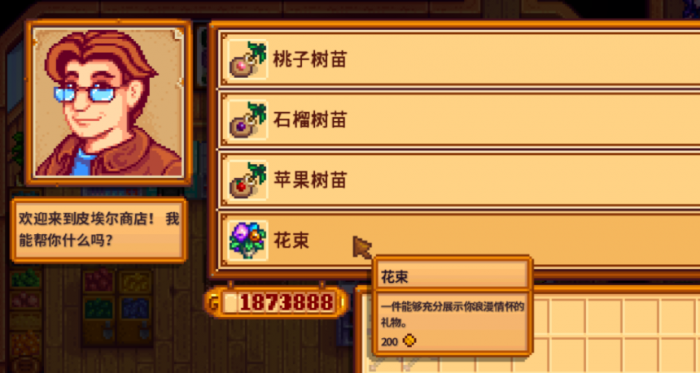 星露谷物语怎么跟潘妮结婚2