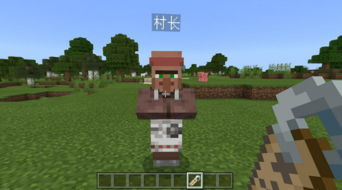 我的世界如何自建村庄2