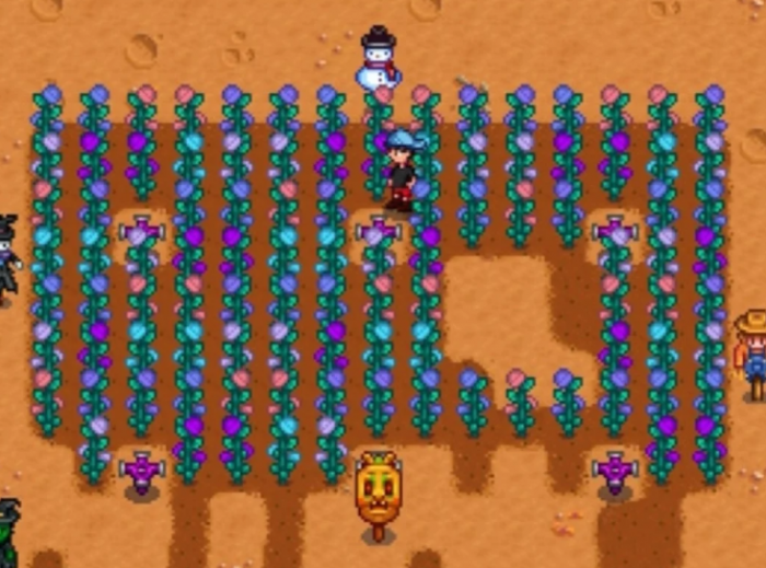 星露谷物语玫瑰仙子怎么获得2