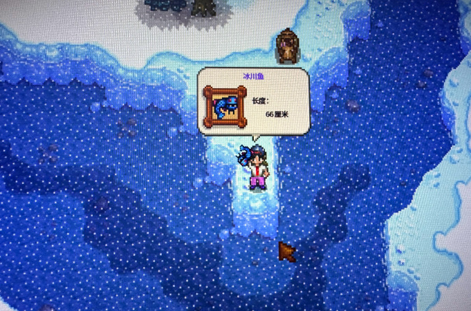 星露谷物语冬季的鱼有哪些2